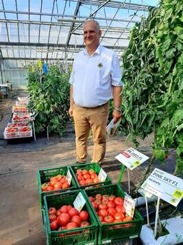 Dariusz Kacprzak pozuje do zdjęcia przy skrzynkach z pomidorami