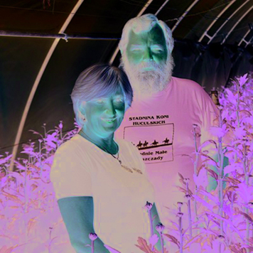 Uśmiechnięta kobieta i mężczyzna pozują do zdjęcia wśród roślin rosnących w szklarni.