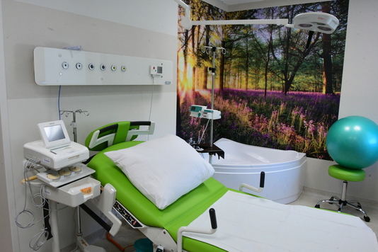 sala szpitalna z łóżkiem, wanną i tapetą na ścianie, która przedstawia las