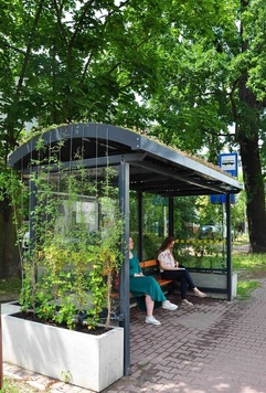 Przystanek autobusowy z dachem i ścianami obrośniętymi zielenią