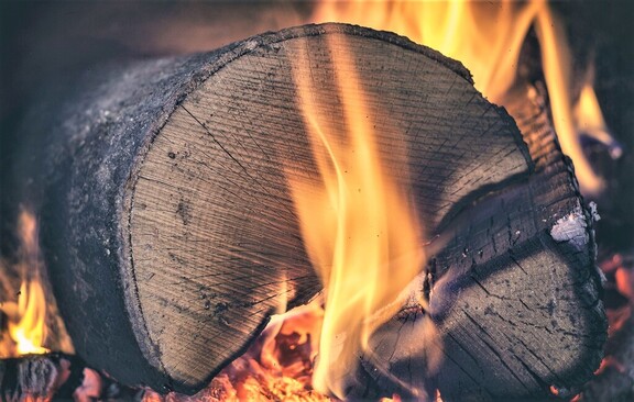 Spalany w ogniu pień drewna