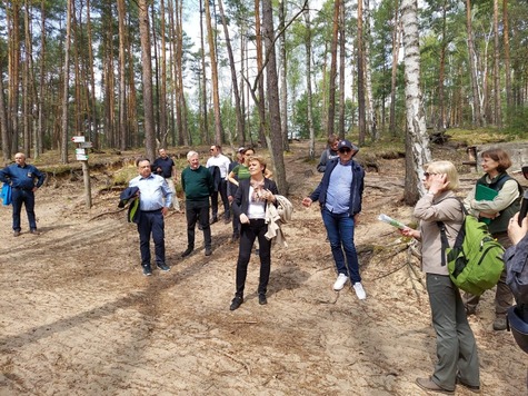 Leśnicy i członkowie komisji ENVE stoją na szerokiej ścieżce leśnej
